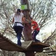 Parc d'aventures dalt dels arbres